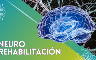 Neuro – Rehabilitación